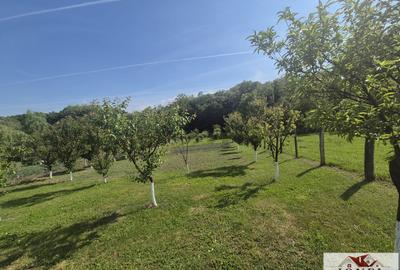 Teren intravilan (2292mp) de vanzare in Vintu de Jos - 3