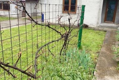 Casa la gri, comuna Girov - 4