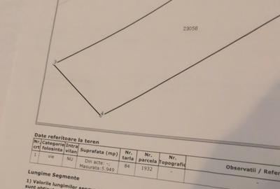 Vanzare vita de vie in sat Dealu Viei - Buzau Comision 0% - 2