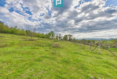 Casă cu teren de 17.681 mp, în loc. Hălmăgel, Arad - 20