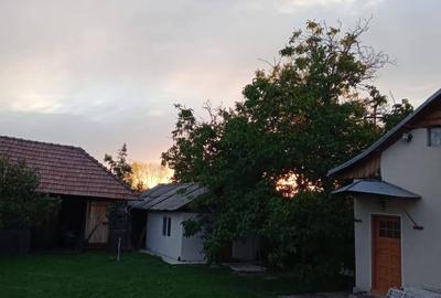 Proprietate cu Arhitectură Tradițională și 2,1 Hectare de Teren - 4