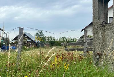 Teren intravilan in Babana jud Arges - 1