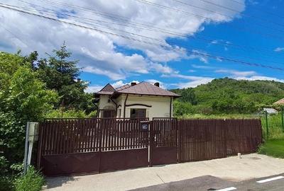 Casa cu teren generos la Stefanesti ( Arges), la cel mai bun raport locatie/pret - 10