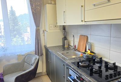Vand apartament 3 camere in Deva, zona Piata Victoriei, mobilat, utilat - 4