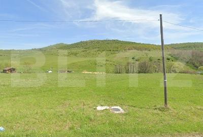 Teren Construcții intravilan de 1551 mp, în Sălicea