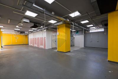 SPAȚIU COMERCIAL  | 231 MP | VAD COMERCIAL - 11