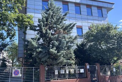 Spațiu de birouri de 82mp de închiriat în zona Barbu Vacarescu - 16