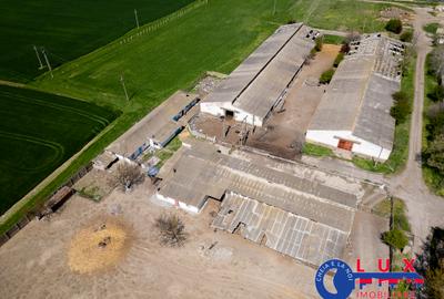 ID 7905 Oportunitate investiție agro-industrială - EXCLUSIVITATE - 4
