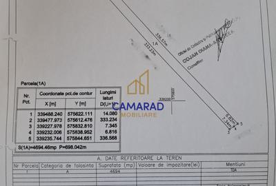 Teren 4694 mp Buftea | Potențial de extindere | intravilan - Parcul dintre Flori - 10