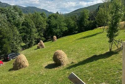 Vila 5 Camere Valea Doftanei Prahova Super View - 7