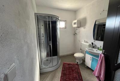 Caransebes, Casa la Curte, Zona Spitalului - 15