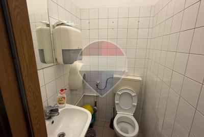 INCHIRIERE Spatiu comercial in zona Mosilor - 12