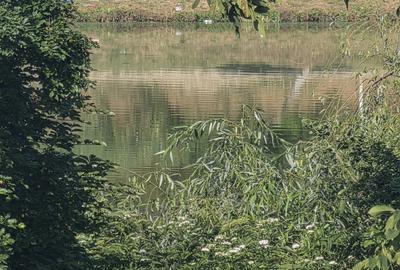 Branesti/Pasarea/Piteasca casa de vanzare deschidere la lac - 5