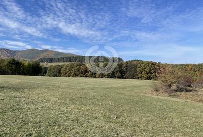 Teren Extravilan | Rășinari – Poplaca | Cadru Natural Unic - 2