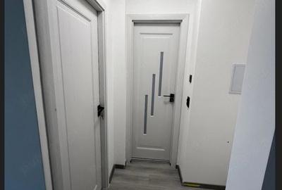 AP 2 CAM DE VANZARE RENOVAT RECENT . - 1