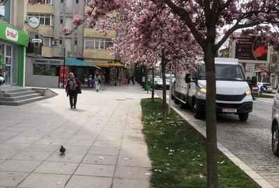 Apartament cu 3 camere, etaj 4, mobilat, VASLUI zona CENTRU - BIG; - 3