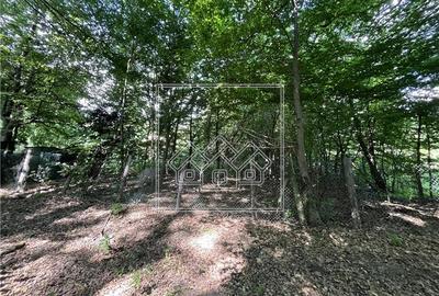 Teren agricol extravilan de 1500 mp, în Central