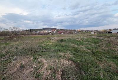 17.000 mp teren intravilan + hale 2.000 mp-Drumul Tărpiului Zona LEONI BISTRITA - 3