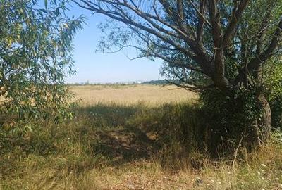 Teren intravilan de vanzare zona Magura Cisnadie - 10