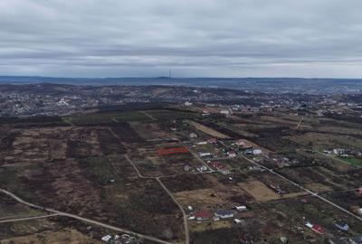 Teren Construcții intravilan de 1131 mp, în Săldăbagiu de Munte