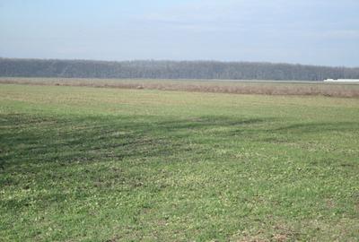 Teren agricol extravilan de 9200 mp, în Afumați