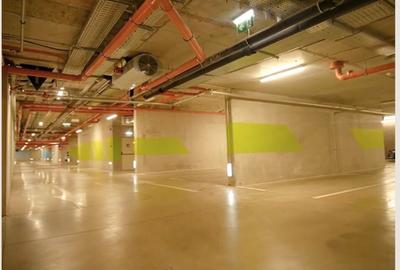 Proprietate specială, 13 mp în Herăstrău