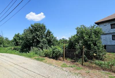 Curte 3200 mp Bolintin Vale, intravilan, intre case - 4