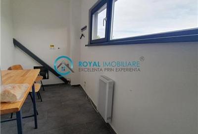 Royal Imobiliare - Vanzare spatiu industrial in zona Paulesti - 15