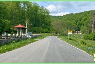 Teren forestier compact, 39,42 ha, Cheia – Măneciu, ECX30374 - 2