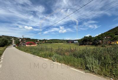Teren intravilan, 1340 mp, front 62 mp, utilitati la parcela, in Mociu - 3