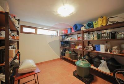 Casă / Vilă cu 5 camere de vânzare, în Sânmartin - 19