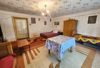 Comision zero! Vand casa în comuna Gârnic Caraș-Severin - 5