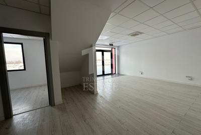 CENTURA - Rudeni | HALA 510 mp| Birouri 60mp | Parc Industrial nou - 6