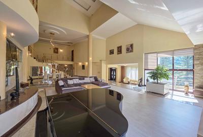 Conac exclusivist | Slănic-Moldova | View Superb |  Domeniu 17.000 mp | SPA&LAC - 9