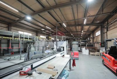 Hală în parc industrial Borș 1, teren 2.903 mp, de vânzare - 50
