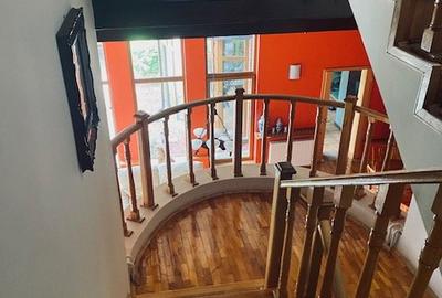 Vand casa 550 mp utili lux-Chisoda! - 11