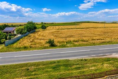Teren de vanzare in localitatea Cataloi - jud.Tulcea - 3