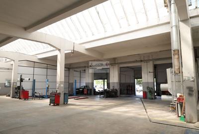 Hală industrială 1.168 mp | Adjud | Producție • Service • Logistică - 7