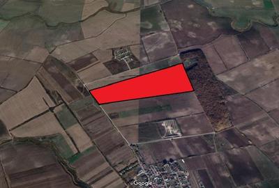 Teren intravilan de 450000 mp, în Corbeanca