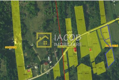 Teren Construcții intravilan de 3772 mp, în Podiș