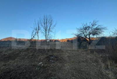 Teren Construcții intravilan de 6500 mp, în Unirea