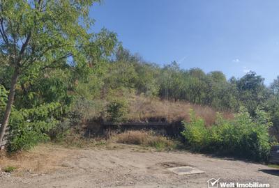 Teren agricol extravilan de 15554 mp, în Iris