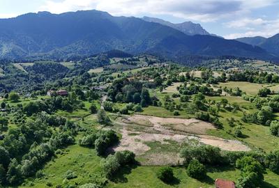 Teren intravilan 1900 mp| Bran / Sohodol | Priveliște superbă - 6