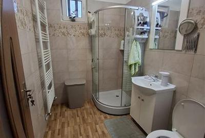 Apartament 3 camere zona Cantacuzino - 12