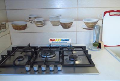OPORTUNITATE DE INVESTITIE CASA P+M, TEREN 10.000 MP. HUTANI, VLADENI - 31