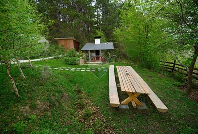 Proprietate pentru retreat | reședință privată | Dealu Frumos - 6