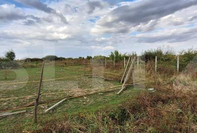 Teren Construcții extravilan de 1050 mp, în Lucian Blaga
