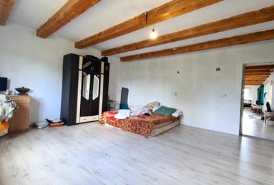 CASA DE VANZARE PODUL OLTULUI CU ACCES PRIVAT - 14