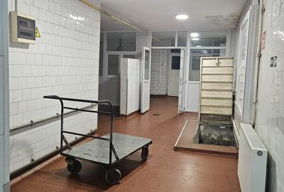 VILĂ P+1 CU SPAȚIU DE PRODUCȚIE ȘI BIROURI – ZONA ȘTEFAN CEL MARE - 3