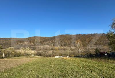 Teren Construcții extravilan de 2700 mp, în Cozia